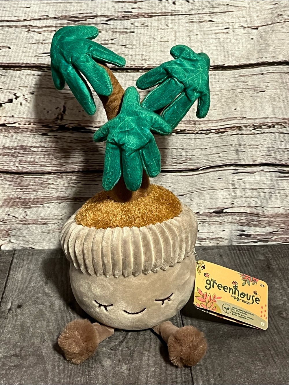 New!! greenhouse by RUSS “David” Money Tree plush